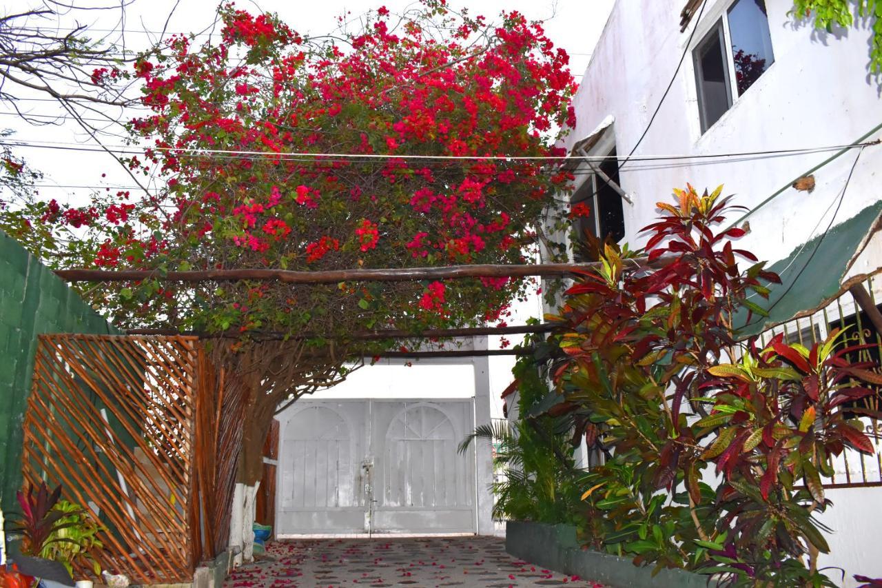 Lobo Inn Tulum Eksteriør bilde