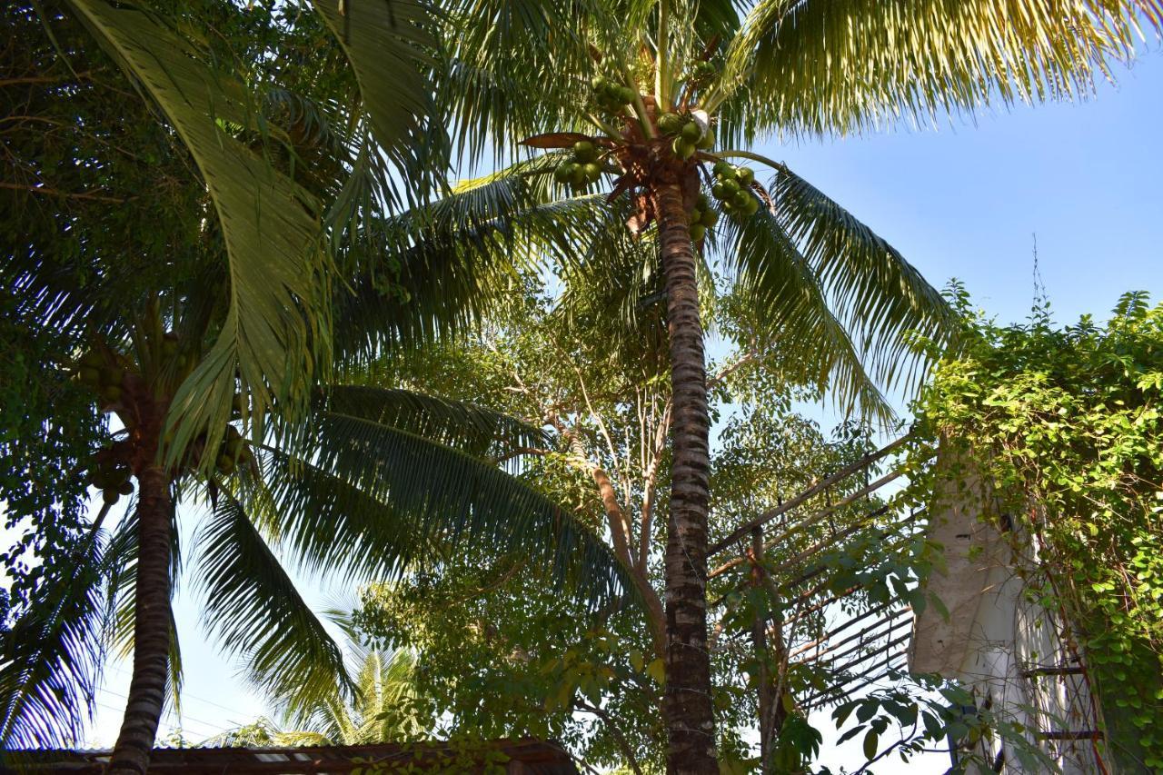 Lobo Inn Tulum Eksteriør bilde