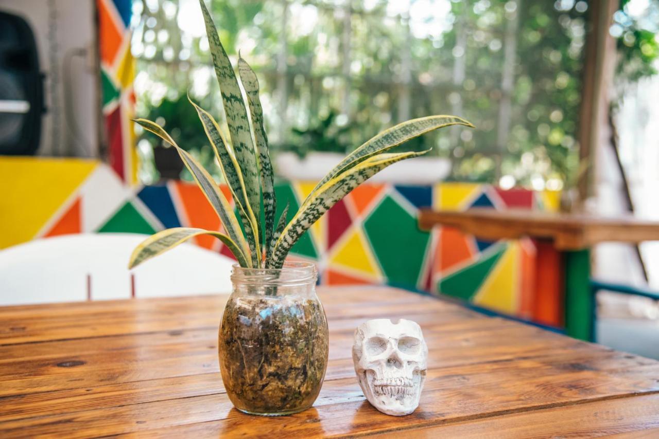 Lobo Inn Tulum Eksteriør bilde